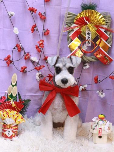 20230121ふたばちゃん